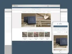 Tin for Ten website